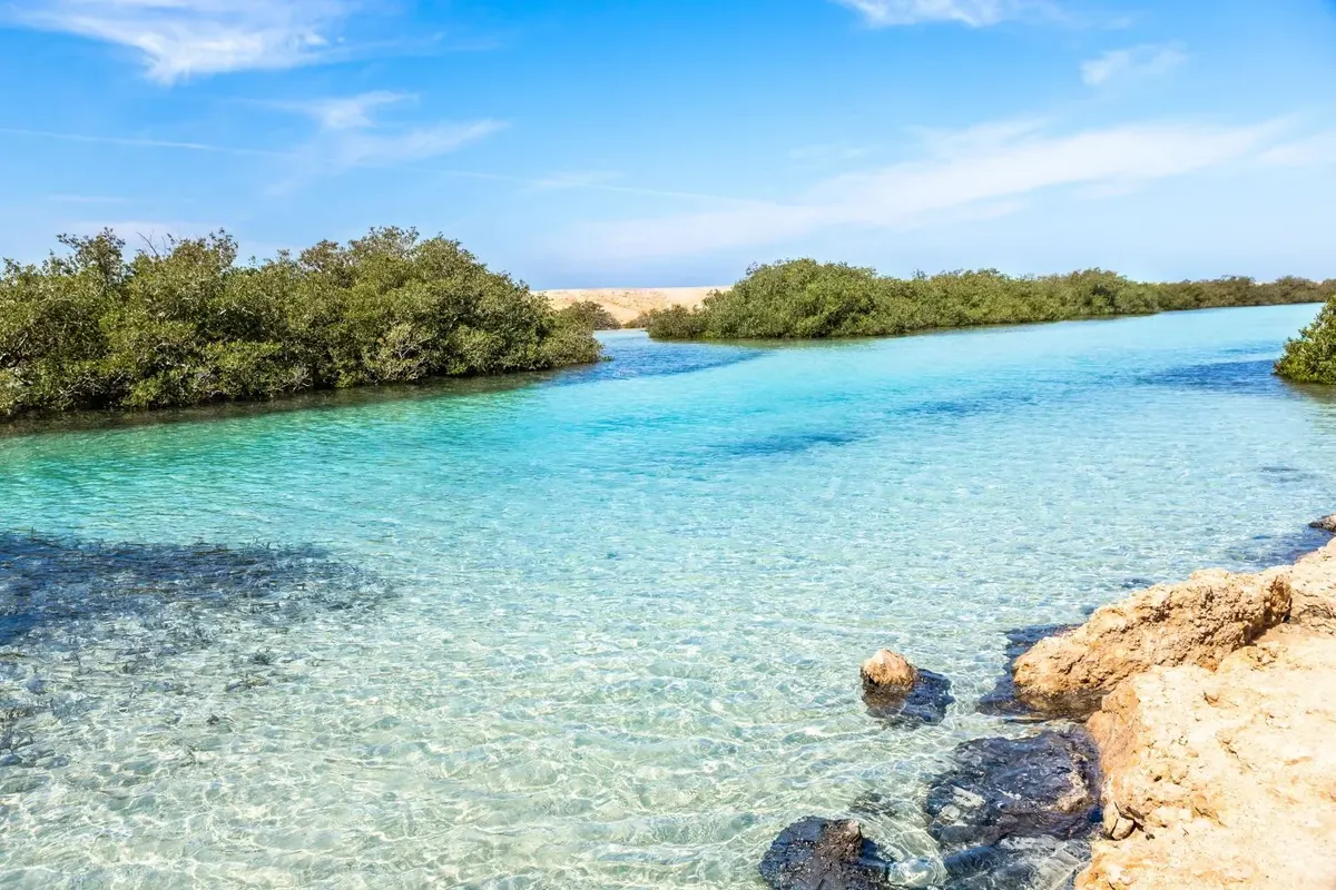 Ras Mohammed National Park by Bus