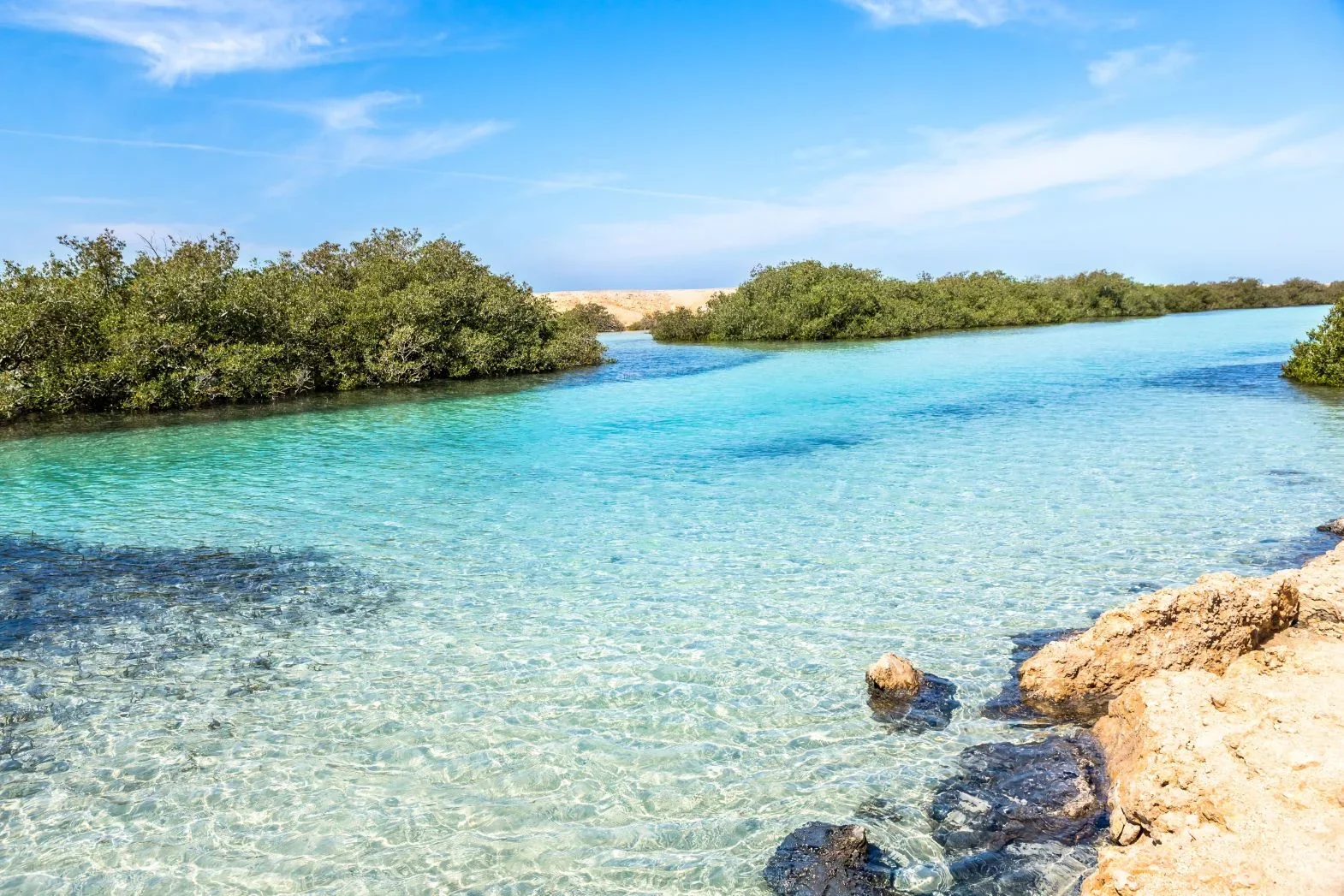 Ras Mohammed National Park by Bus