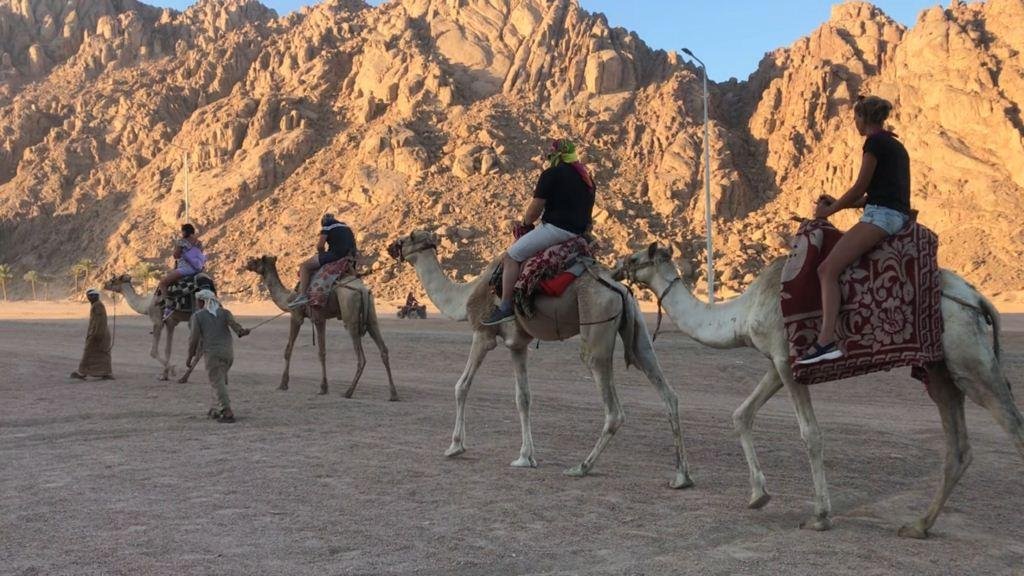 Sunrise Desert Safari in Sharm El Sheikh
