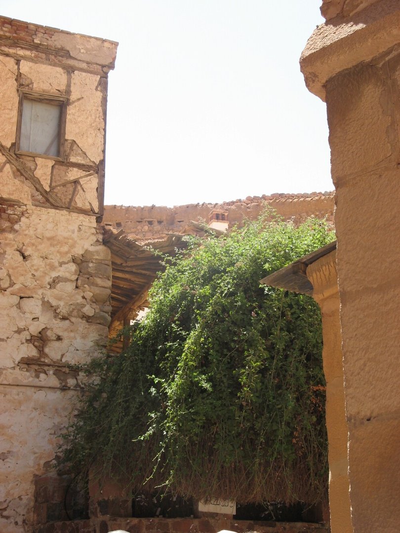 Mount Sinai & Saint Catherine Monastery Tour