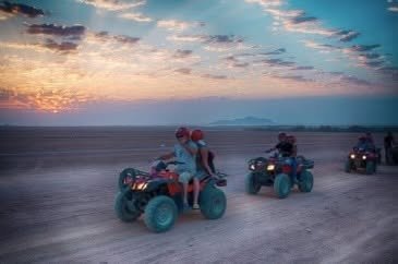 Safari Dinner & Bedouin Night