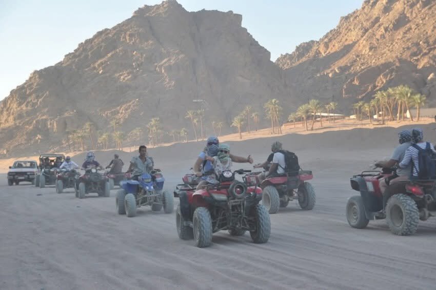 Safari Dinner & Bedouin Night